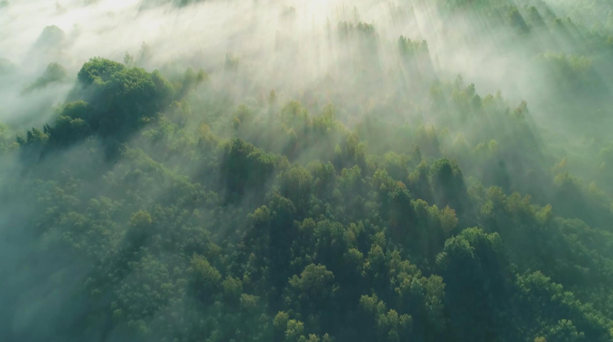 尊龙凯时全屋定制宣传片