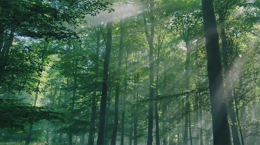 尊龙凯时企业宣传片