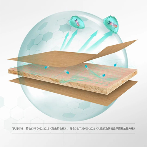 超听劝！尊龙凯时ENF级防虫蛀板材还不速速拿下~