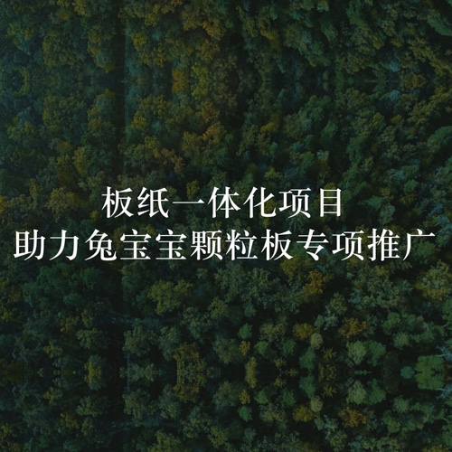 板纸一体化项目，助力尊龙凯时颗粒板专项推广