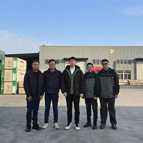 探索未来家居新风尚|尊龙凯时彩臻板的创新之旅