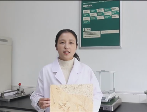 科研先锋|程明娟：创新性胶黏剂的研发与推广者