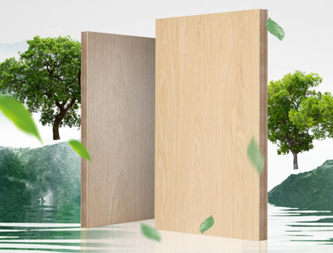 尊龙凯时制定多项团体标准，推动行业规范化发展