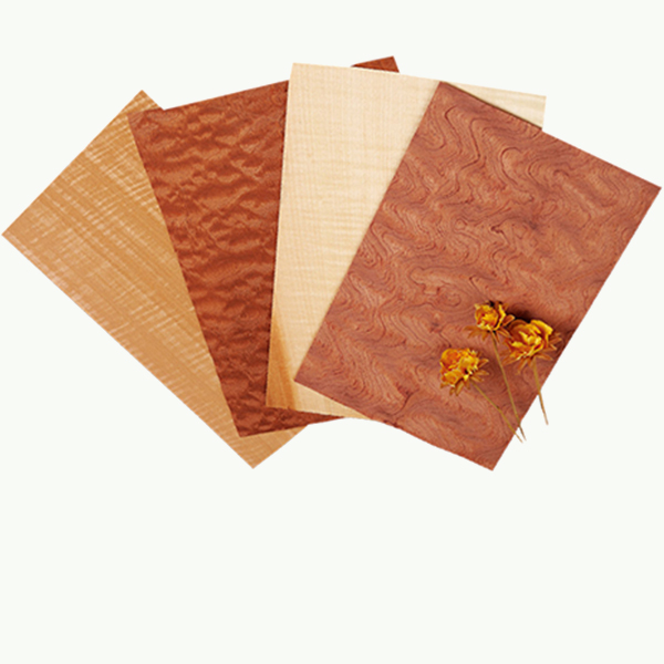 品类齐全 应用广泛