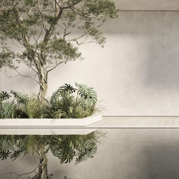 禅意韵味·悠然自美