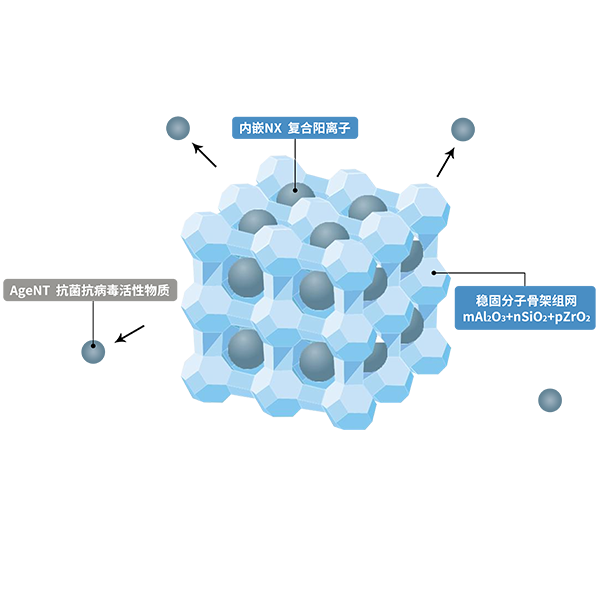 双盾防护
筑起健康美好生活