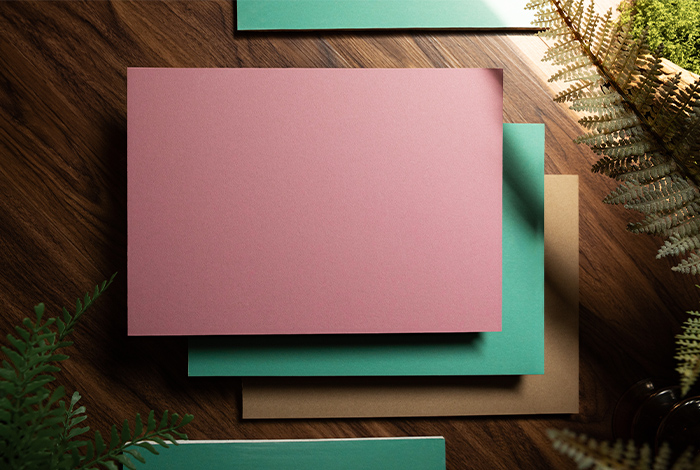 无醛坚果纸面石膏板